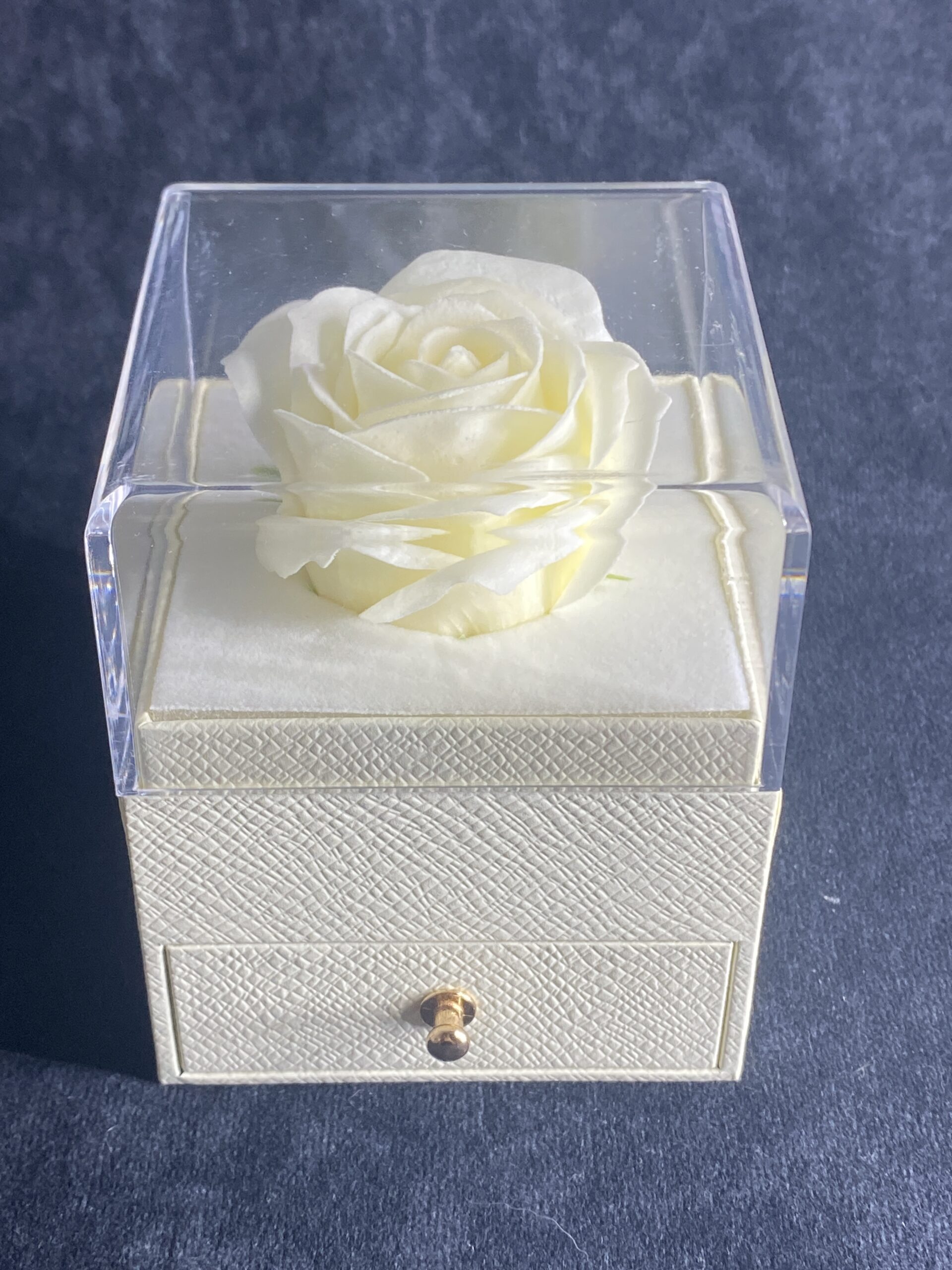 Conjunto Lumière Conjunto Lumière